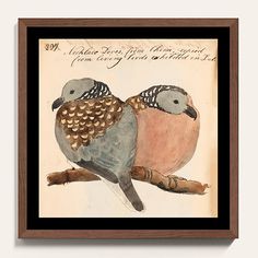 two birds sitting on top of a tree branch in front of a framed wall hanging