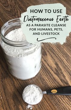 Best Parasite Cleanse, Parasitic Cleanse, Parasites In Humans, Parasite Cleanse Diet, Herbal Parasite Cleanse, Diatomaceous Earth Food Grade, Parasite Cleanse, Natural Healing Remedies, Home Health Remedies