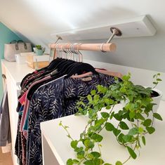 clothes and plants are hanging in the closet