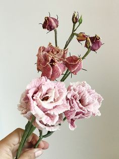 a person holding flowers in their hand with one flower still attached to the other end