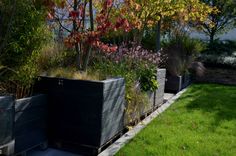 several planters are lined up in the grass