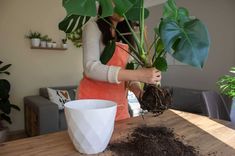 a woman holding up a plant with dirt on the ground in front of her and potted plants next to it