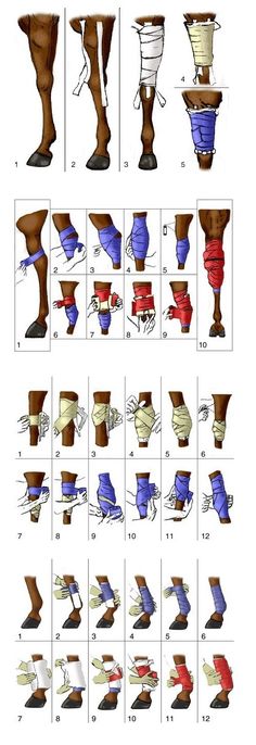 an image of different types of feet and leggings in various colors, sizes and shapes