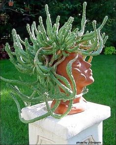 a plant is growing out of the head of a statue