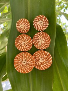 four orange and white flowers sitting on top of a green leaf