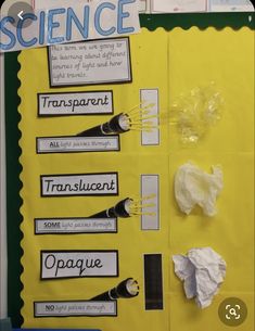 the science bulletin board is covered with paper and scissors