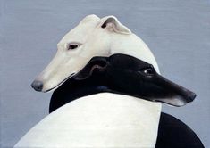 a black and white dog is standing next to a white greyhound