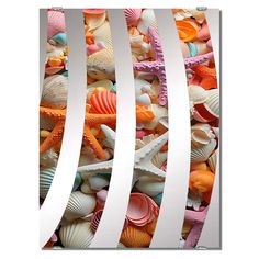 there are many different colored seashells on this wall art print that you can put in your home or office