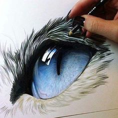 a drawing of an eye with blue and black fur on it's irise