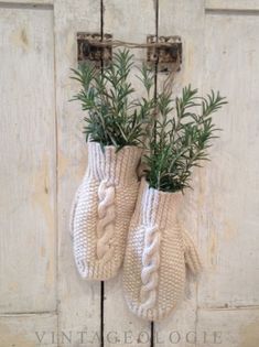 two knitted mittens hanging from a hook on a wall with plants in them