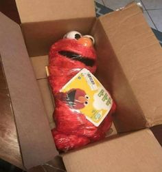 a stuffed animal in a cardboard box