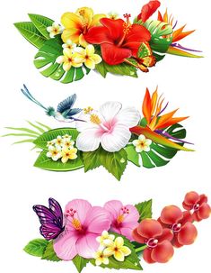 three tropical flowers and two butterflies on white background with clippings for each one