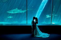 a bride and groom kissing in front of an aquarium