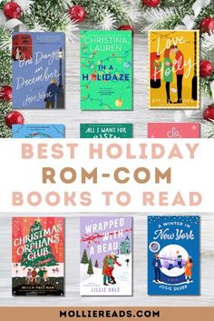 the best holiday book - com books to read