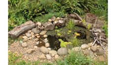 a small pond surrounded by rocks and plants