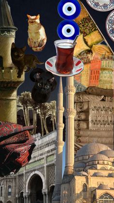 a collage of pictures with cats and other things in the background, including an eye - shaped object