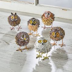 six owls are standing in the middle of a group