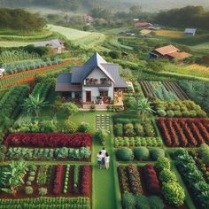 an aerial view of a house surrounded by trees and flowers in the middle of a lush green field