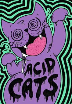 an image of a cartoon cat with the word acid cats on it's chest