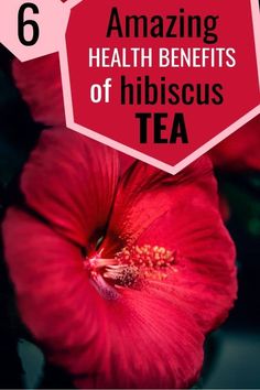 a red flower with the words amazing health benefits of hibiscus tea on it