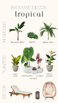 the different types of tropical plants and their names