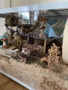 a display case filled with lots of different types of animals and plants on top of a wooden floor