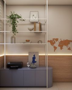 a room with shelves and a plant on the shelf