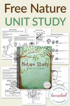 the nature study book is shown with an image of trees and leaves on it, which includes