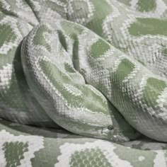 a green and white snake is curled up