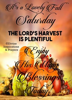 the lord's harvest is plentiful and his glory, blessings today