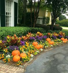 an assortment of flowers and pumpkins in front of a house