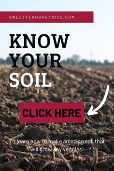 Soil. Arguably, one of, if not the most important factors of market farming.
Think about it, if your soil sucks, so will your vegetables. If your soil is thriving and full of the necessary elements, your veggies will be delicious and nutrient-dense.
That’s what you’re going for, right?
Before you start farming, it’s important to get a soil test done on your land so you know what nutrients are present and which components need to be added in by way of soil amendments. Market Farming, Soil Test, Soil Amendments, Soil Testing