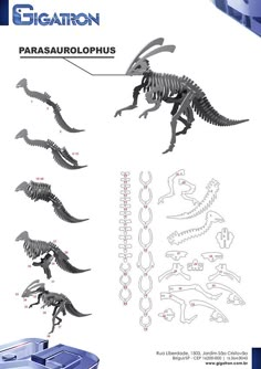 an image of dinosaurs in various poses