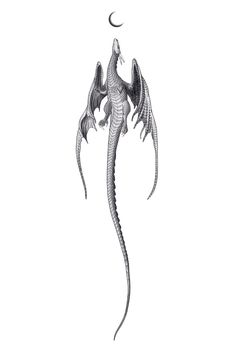 a black and white drawing of a dragon with its wings spread out in the air