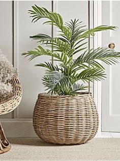 a plant in a wicker basket next to a white door and a chair on the floor