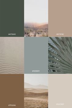 the different shades of green, brown and white in an image with text that says desert