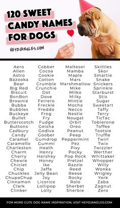 a poster with the words candy names for dogs