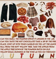 Niche Boards, Fall Mood Board, Aesthetic Outfit Ideas, Fall Inspo, Fall Feels, Mood Board Fashion, Autumn Cozy, Autumn Aesthetic, Halloween Wallpaper