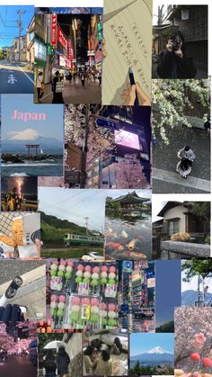 the collage shows many different things in japan