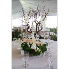 an arrangement of flowers and branches is displayed on a table in front of a tent