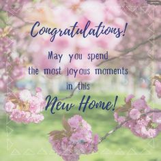 congratulations card with pink flowers on the tree in front of green grass and blue sky