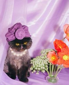 a black cat wearing a purple hat and sitting next to some flowers in a vase