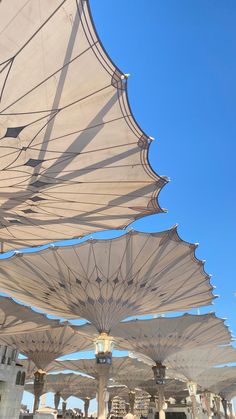 many white umbrellas are lined up in the sun