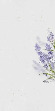 a vase filled with purple flowers sitting on top of a table