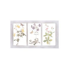 four different flowers are displayed in a white frame on the wall, and one is painted with watercolors