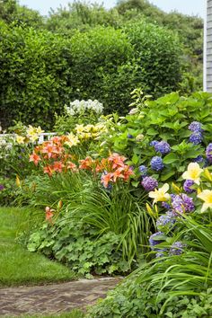 colorful flowers and greenery line the side of a home's garden area in summer