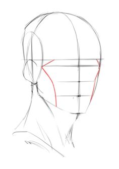 the head is shown with lines drawn on it