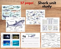 the shark unit study is displayed on a wooden table with pictures and words to help students learn