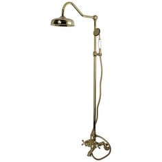 an antique style shower head and hand held shower faucet