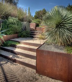 an outdoor garden with steps and plants